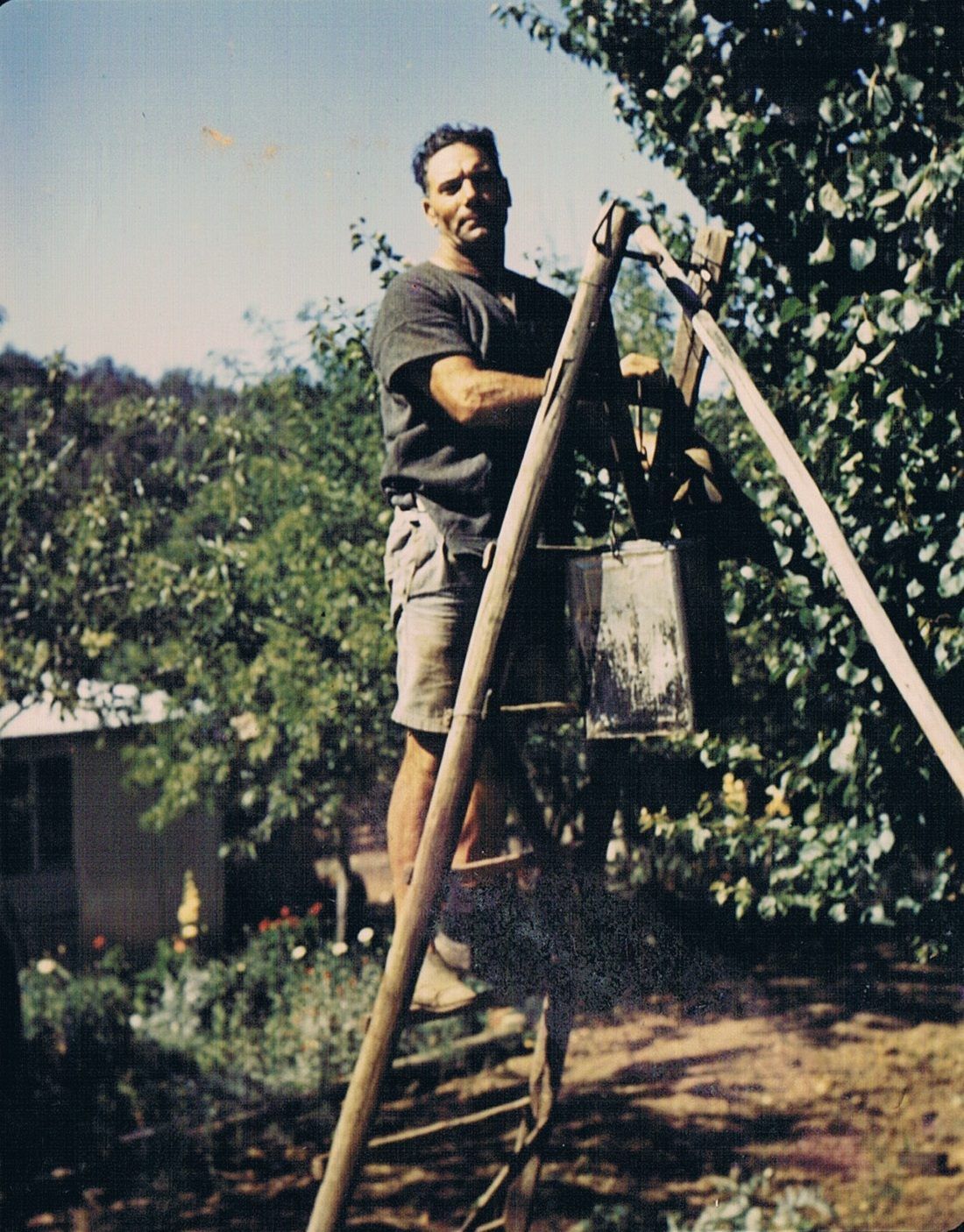 Raeburn Orchards