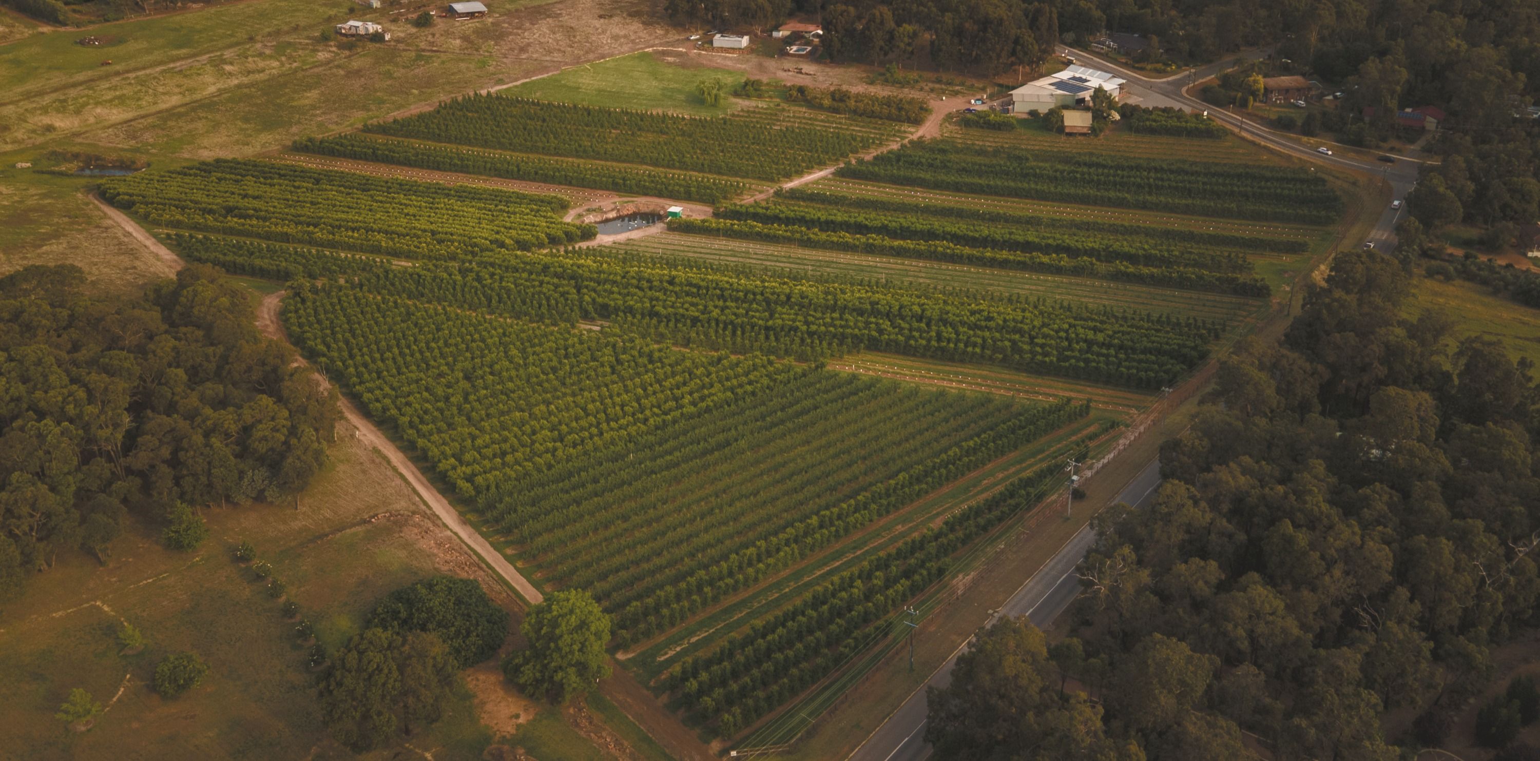Raeburn Orchards