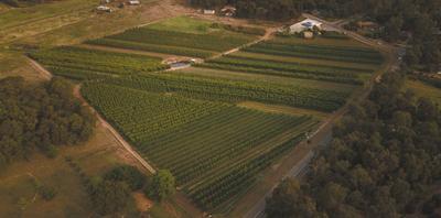 Raeburn Orchards