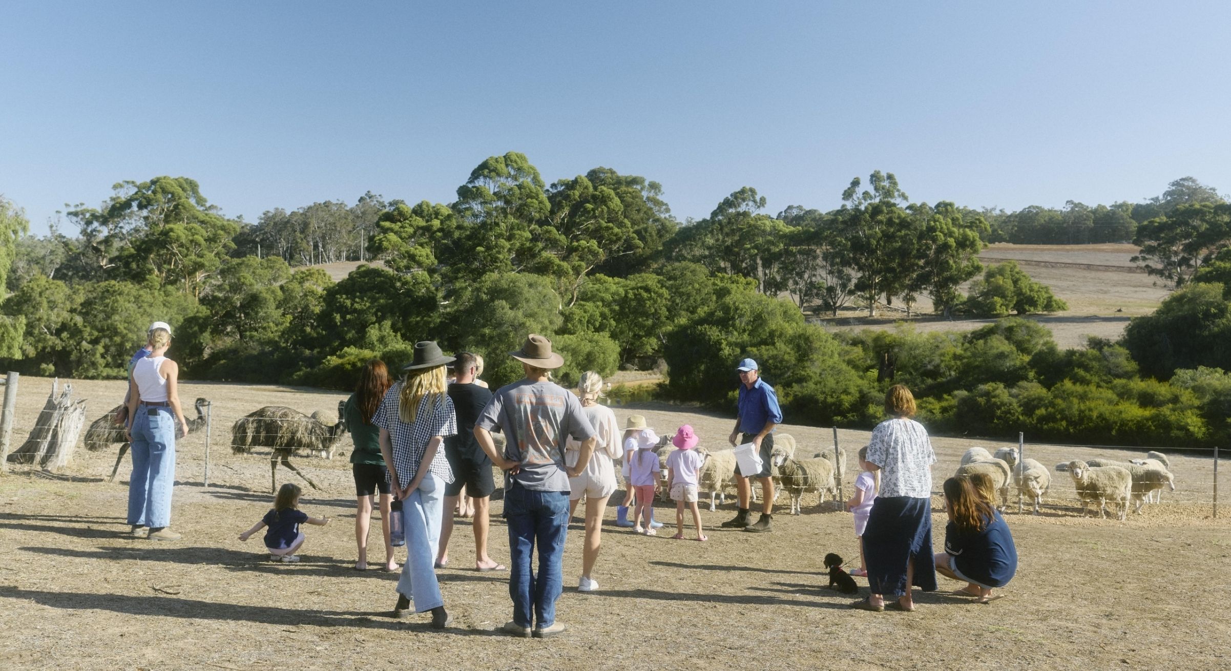 Big Valley Campsite