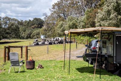 Dunmore Homestead Farmstay