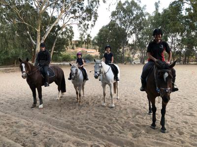 Yarrada Farm Riding School