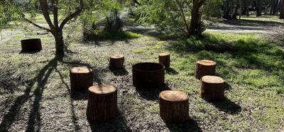 Camp Wattle Grove