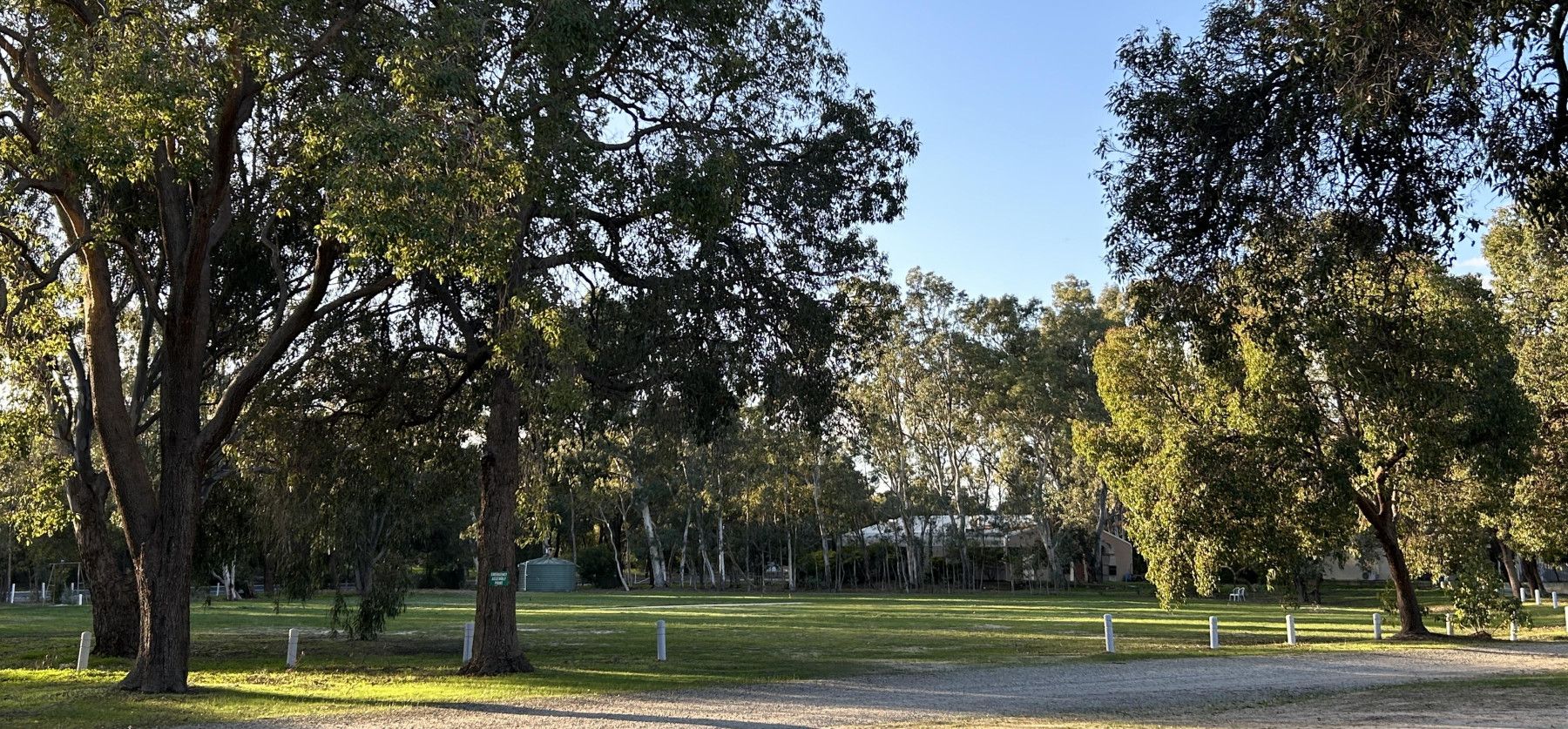 Camp Wattle Grove