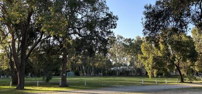 Camp Wattle Grove