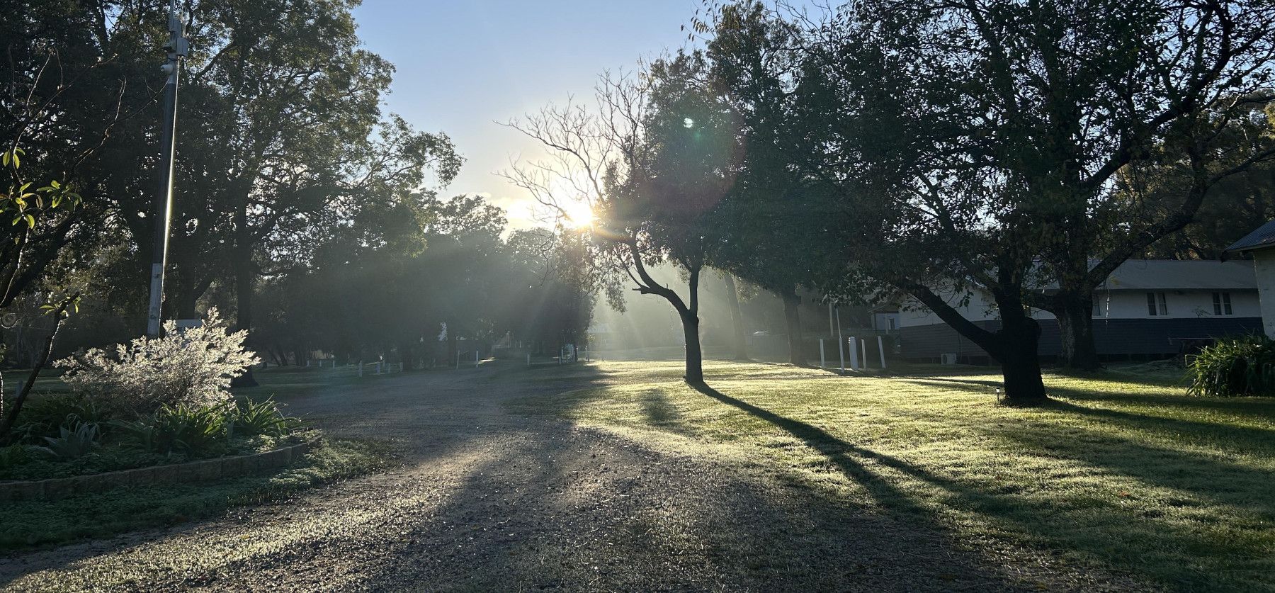 Camp Wattle Grove