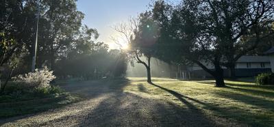 Camp Wattle Grove