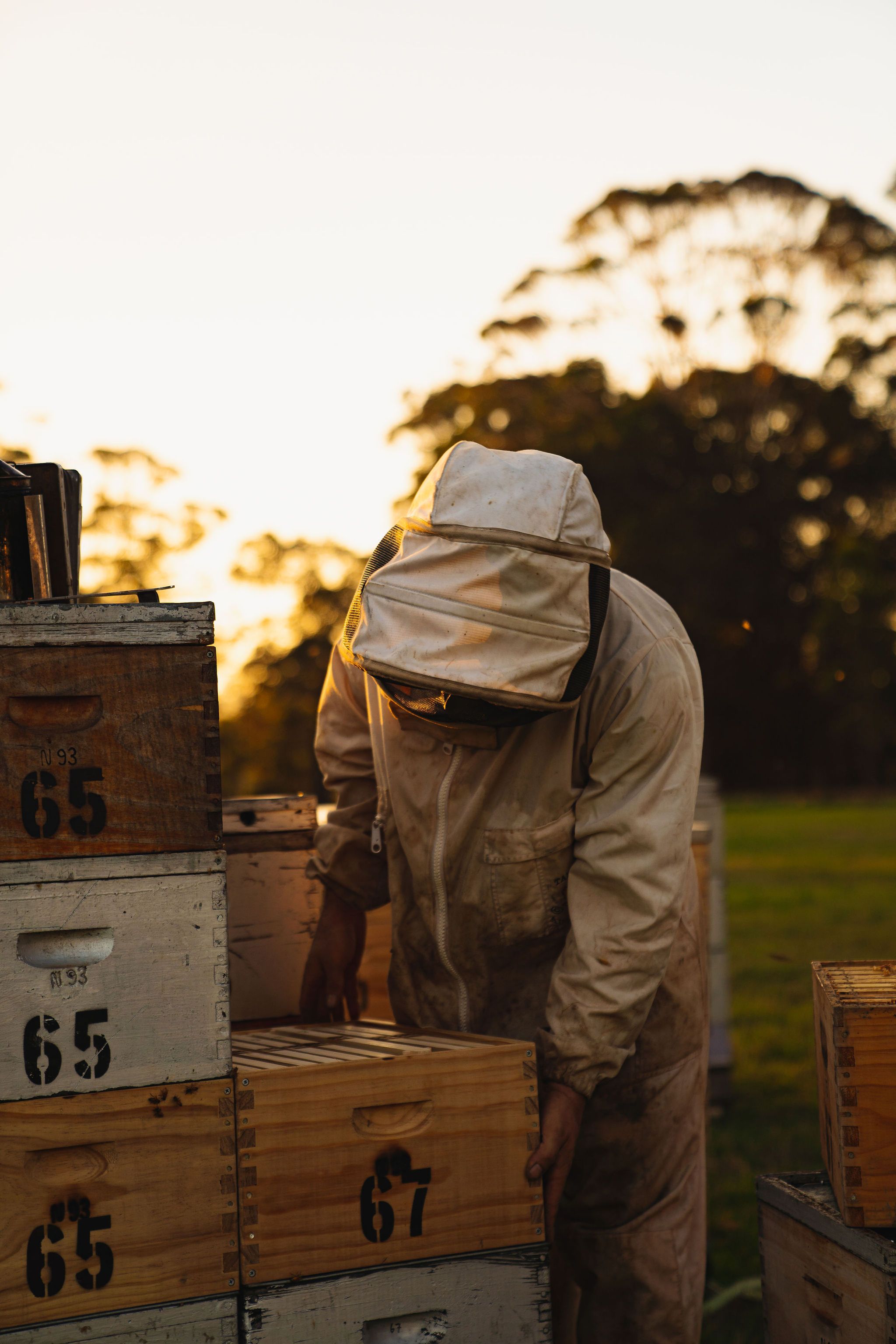 Pemberton Honey Company
