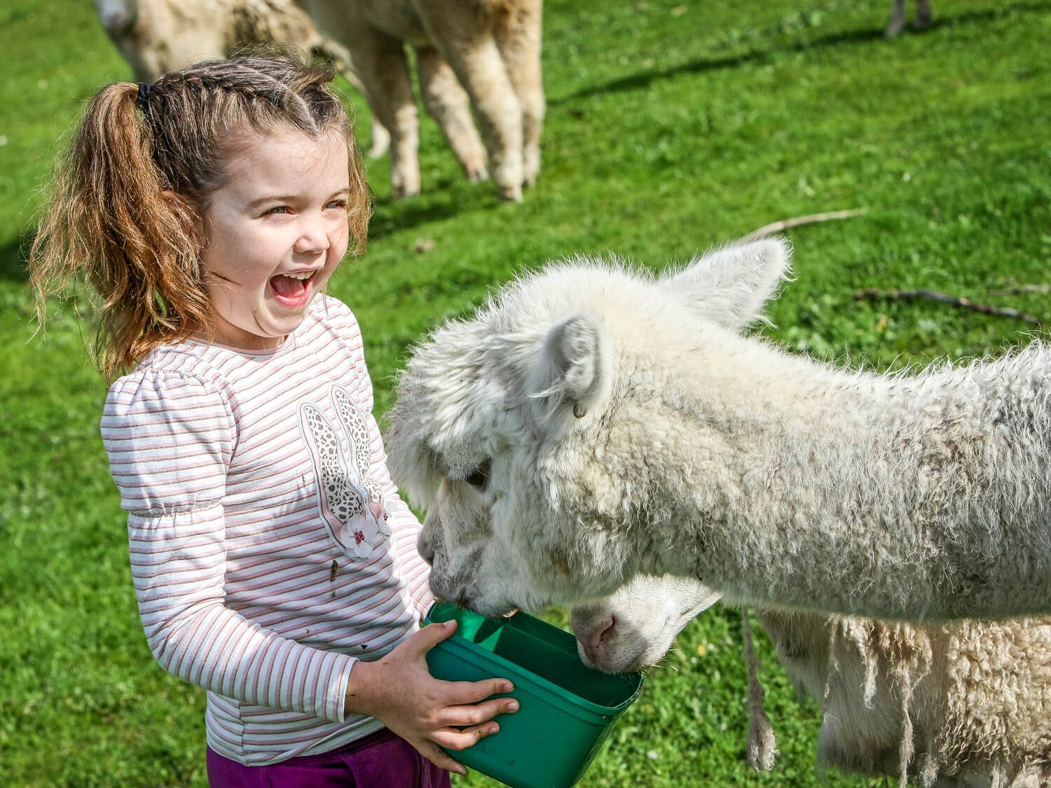 Boronia Farm