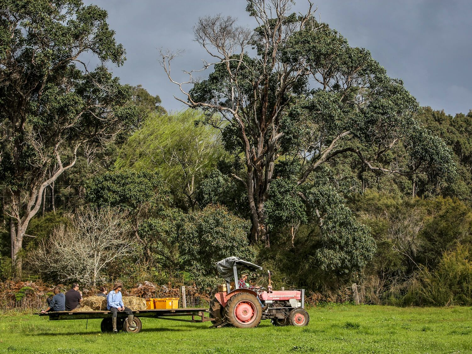 Boronia Farm