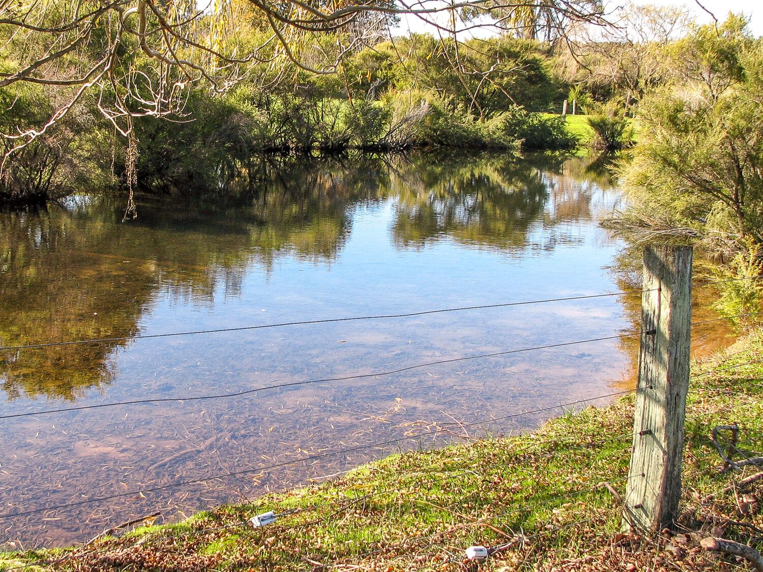 Boronia Farm