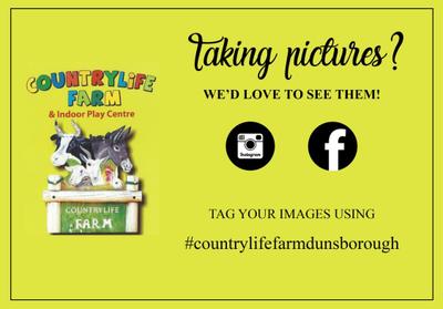 Country Life Farm Dunsborough